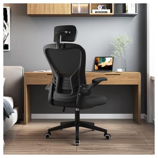 SCaua Ergonomic Office Chair
