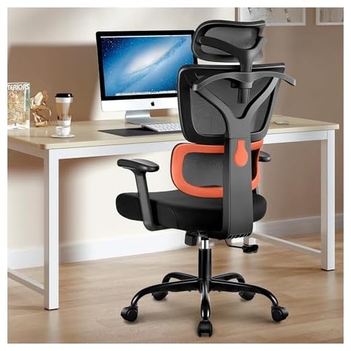 [B0CGQZBCZP] Winrise Ergonomic Office Chair